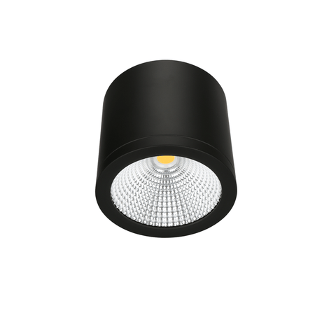 CL10B 25W LED ceiling light