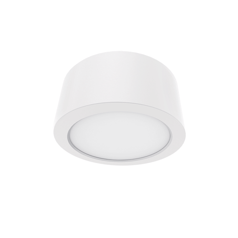CL11 12W LED Ceiling Light