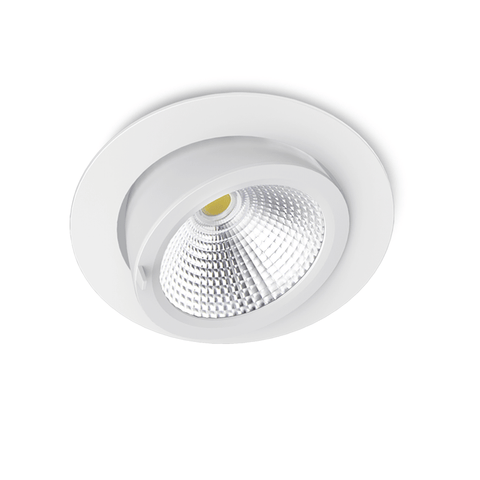 DL22 LED downlight / spotlight - 6 inch