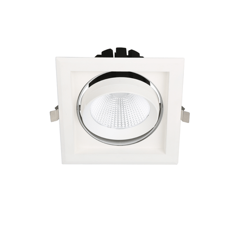 DL30 30W single LED spot light