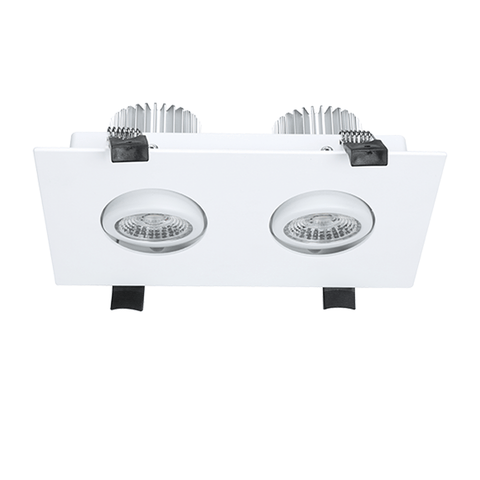 DL31 20W double LED Downlight Spotlight