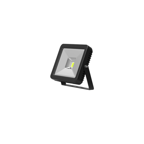 FL10 10W LED flood light