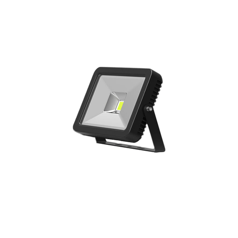 FL10 30W LED flood light